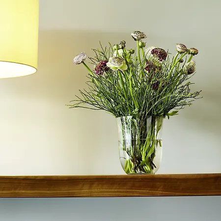 Stadt 4* פרייבורג