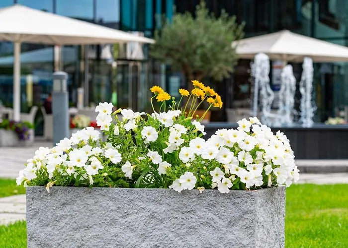 Stadt Freiburg im Breisgau