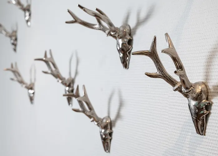 Hotel Stadt Freiburg im Breisgau