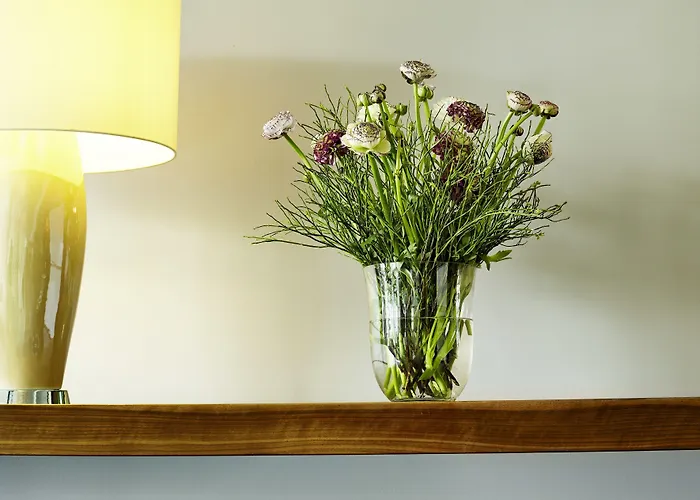 Stadt 4* Freiburg im Breisgau